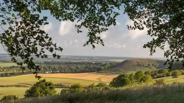 Wide view across open chalk grassland at Dunstable Downs